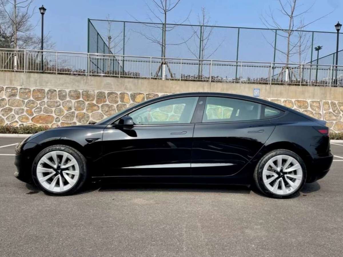 特斯拉 model 3 2019款 標準續航後驅升級版圖片