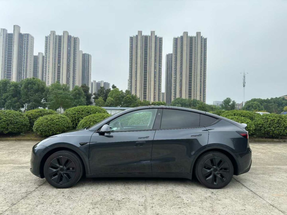 2024年1月特斯拉 Model Y  2024款 Performance高性能版