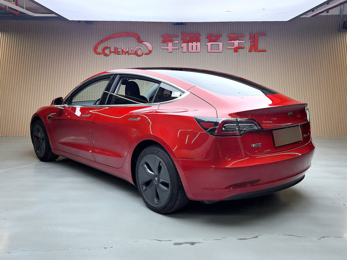 特斯拉 Model 3  2019款 标准续航后驱升级版图片