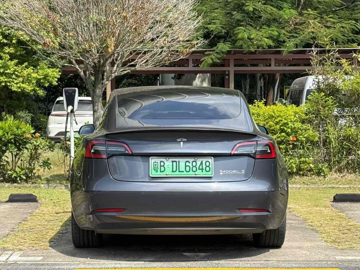 特斯拉 Model 3  2019款 Performance高性能全輪驅(qū)動版圖片