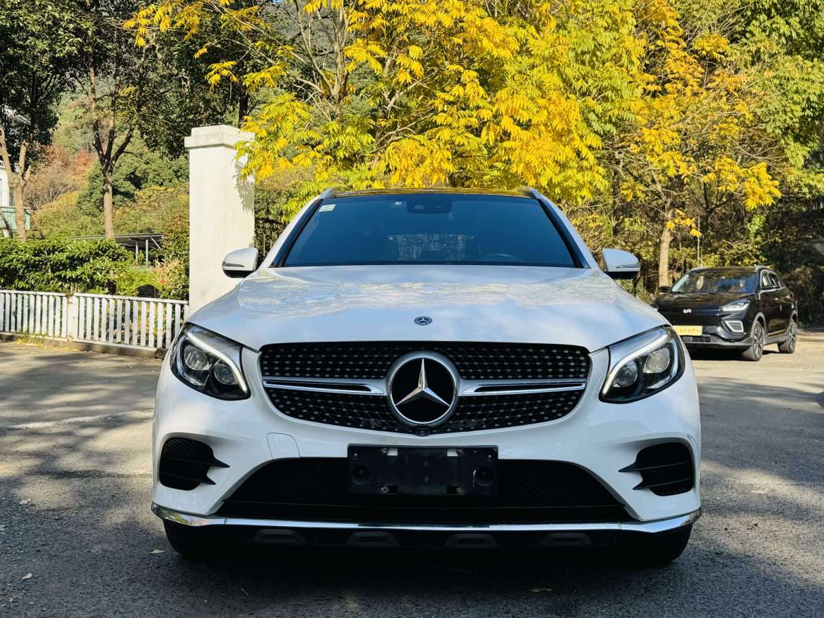 奔馳 奔馳GLC  2019款 改款 GLC 300 L 4MATIC 動感型圖片