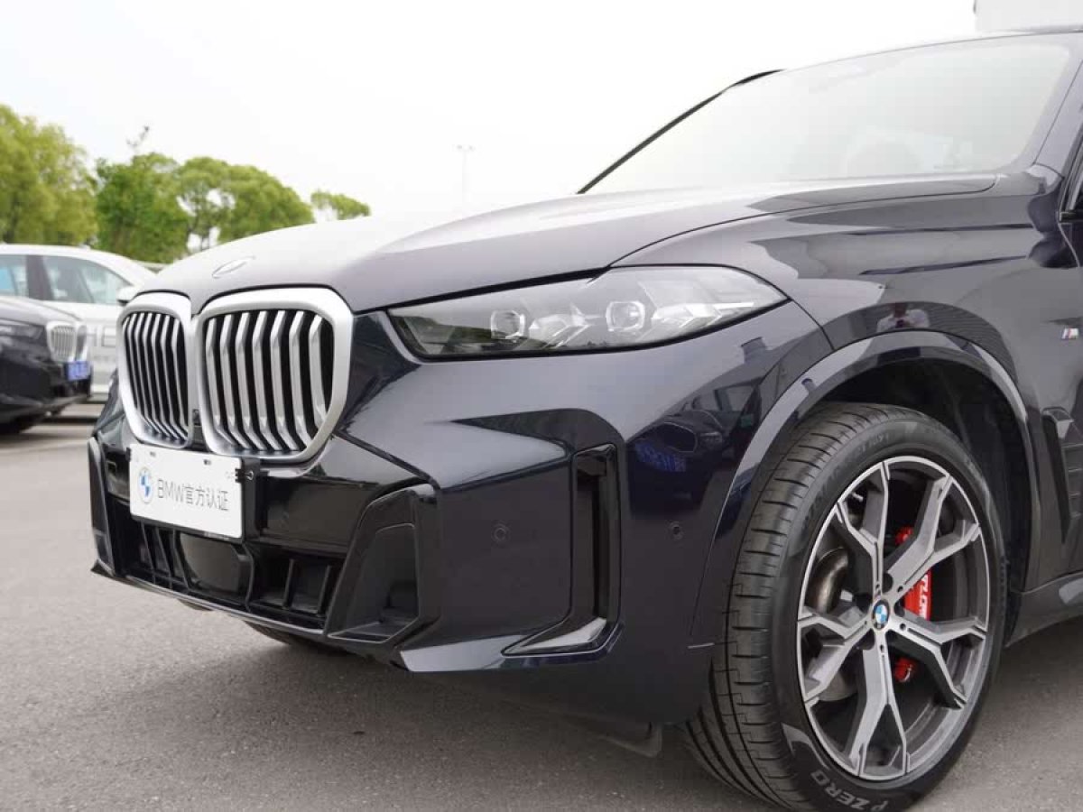 寶馬 寶馬X5  2023款 xDrive 30Li 尊享型M運動曜夜套裝圖片