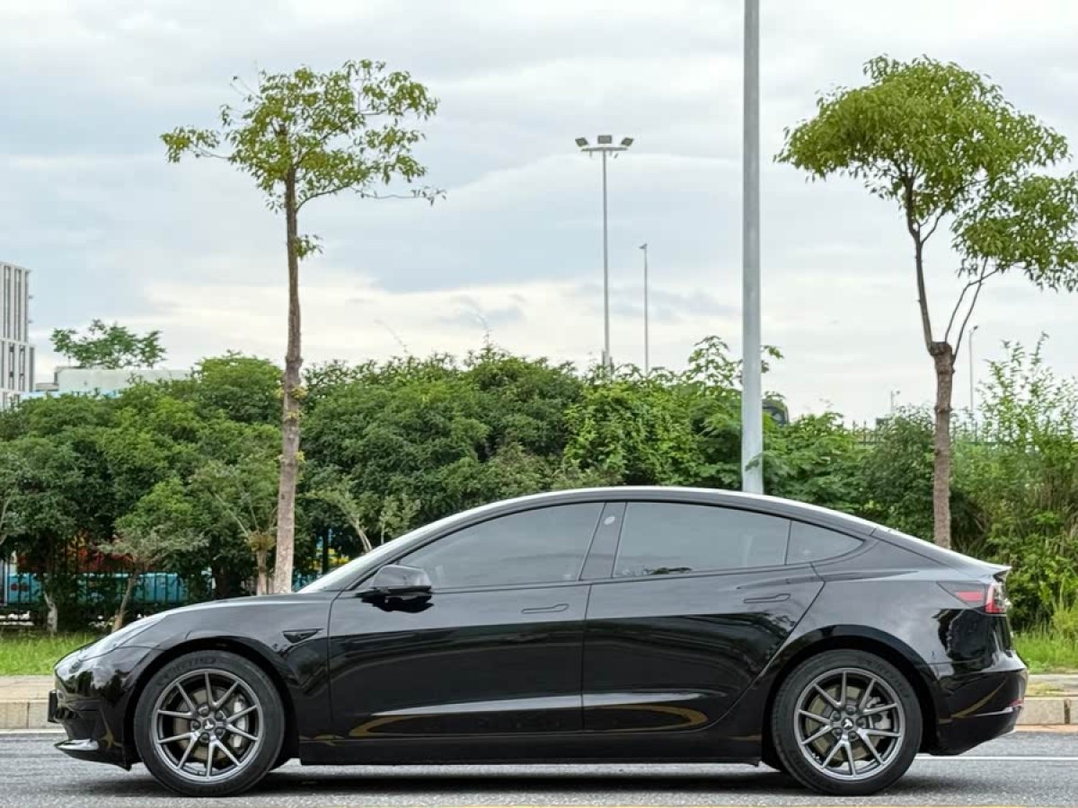 特斯拉 Model 3  2021款 標準續(xù)航后驅(qū)升級版 3D6圖片
