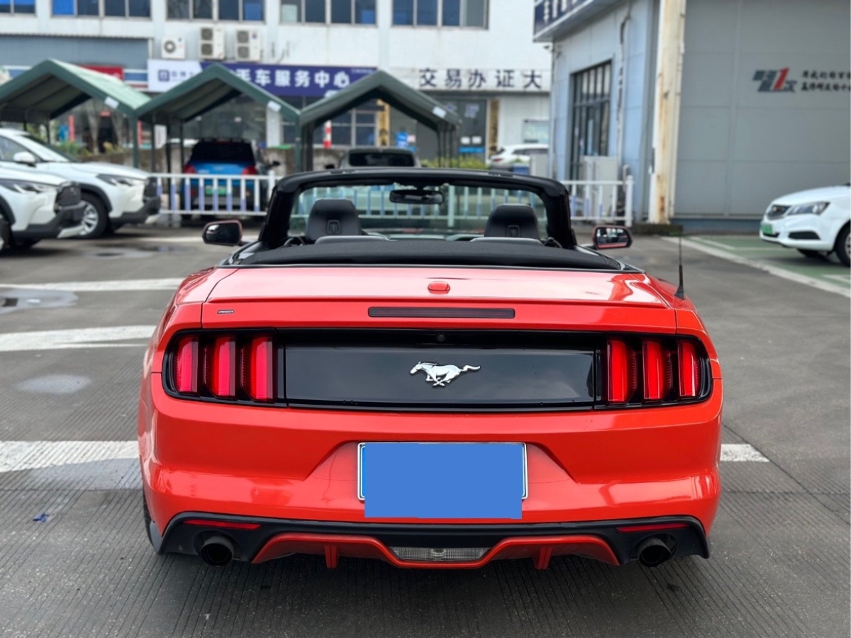 福特 Mustang  2016款 2.3T 運動版圖片