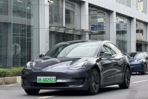 Model 3 特斯拉 标准续航后驱升级版