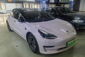 Model 3 特斯拉 标准续航后驱升级版 3D6