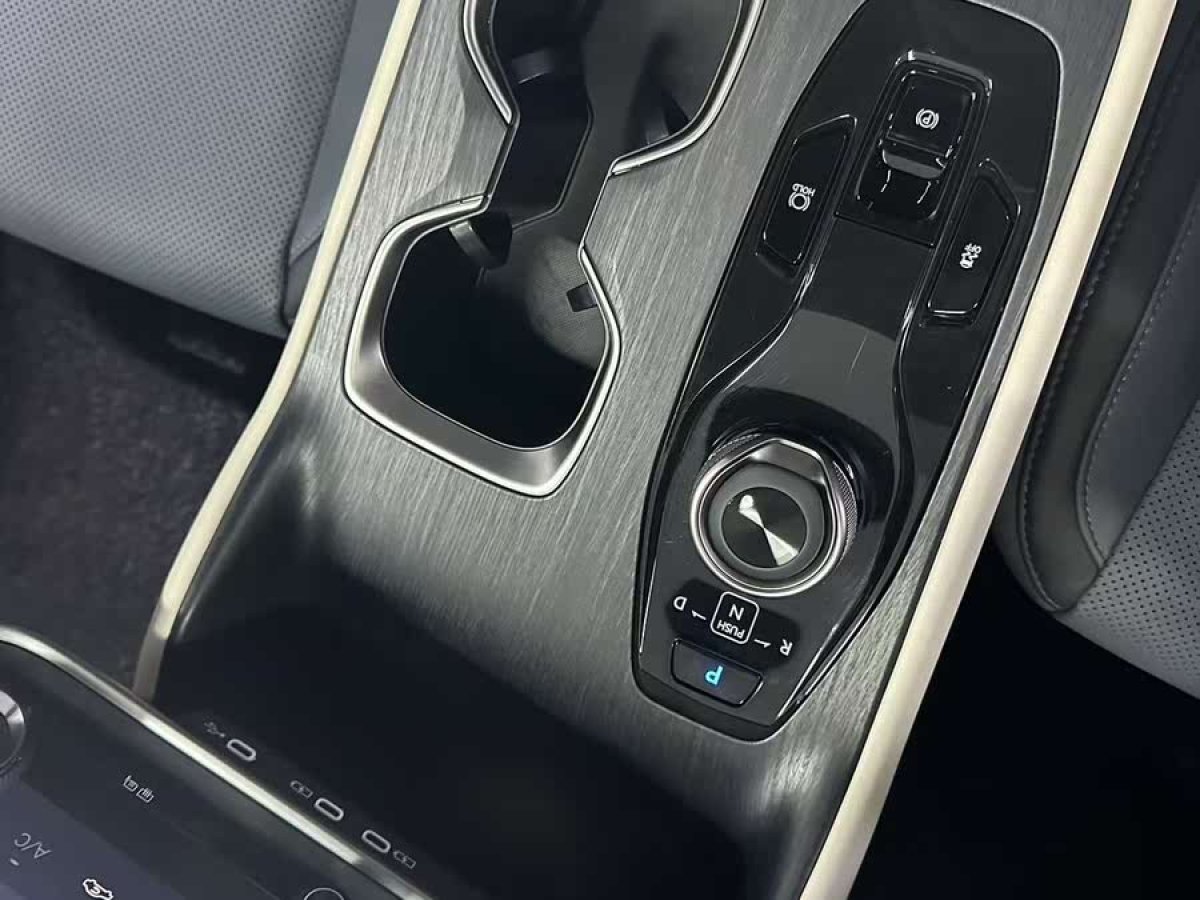 雷克薩斯 雷克薩斯RZ  2023款 450e 四驅(qū)縱享版圖片