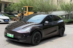 Model Y 特斯拉 Performance高性能全輪驅動版