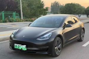Model S 特斯拉 Performance 高性能版