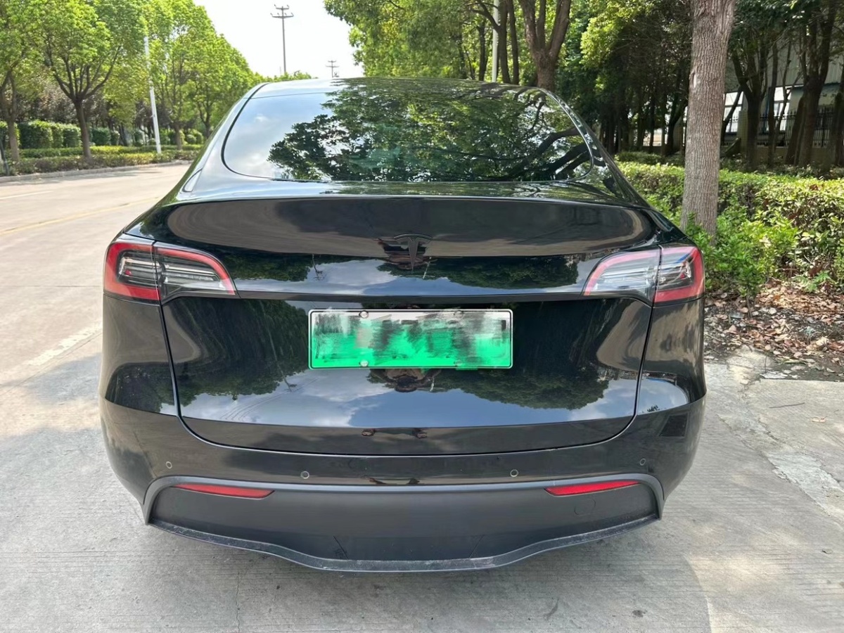 特斯拉 Model Y  2023款 后輪驅(qū)動版圖片