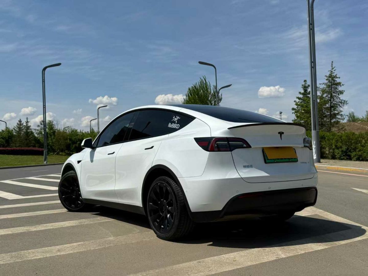 特斯拉 Model S  2021款 Performance 高性能版圖片