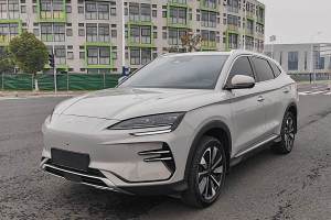 宋PLUS新能源 比亚迪 EV 520km 尊贵型