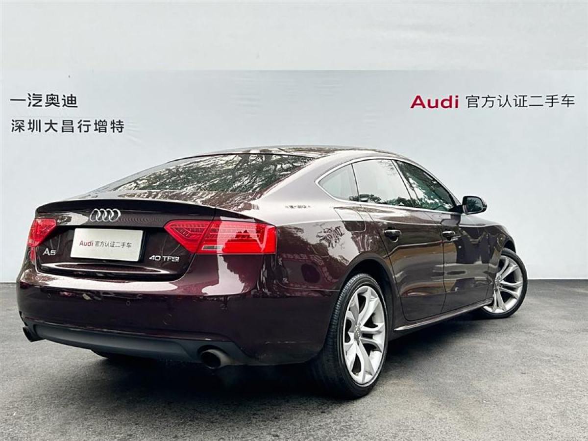 奧迪 奧迪A5  2013款 Sportback 40 TFSI圖片