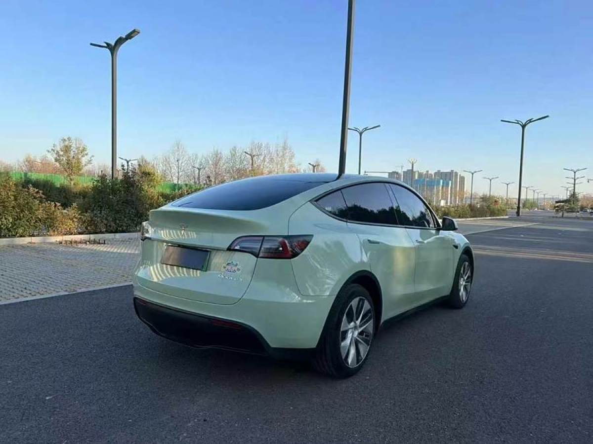 特斯拉 Model 3  2020款 改款 長續(xù)航后輪驅(qū)動版圖片