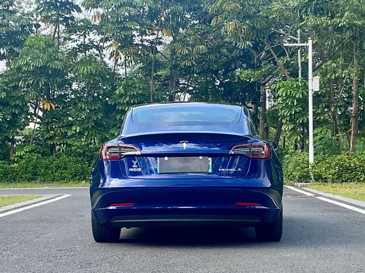 特斯拉 Model Y  2020款 改款 標(biāo)準(zhǔn)續(xù)航后驅(qū)升級(jí)版圖片