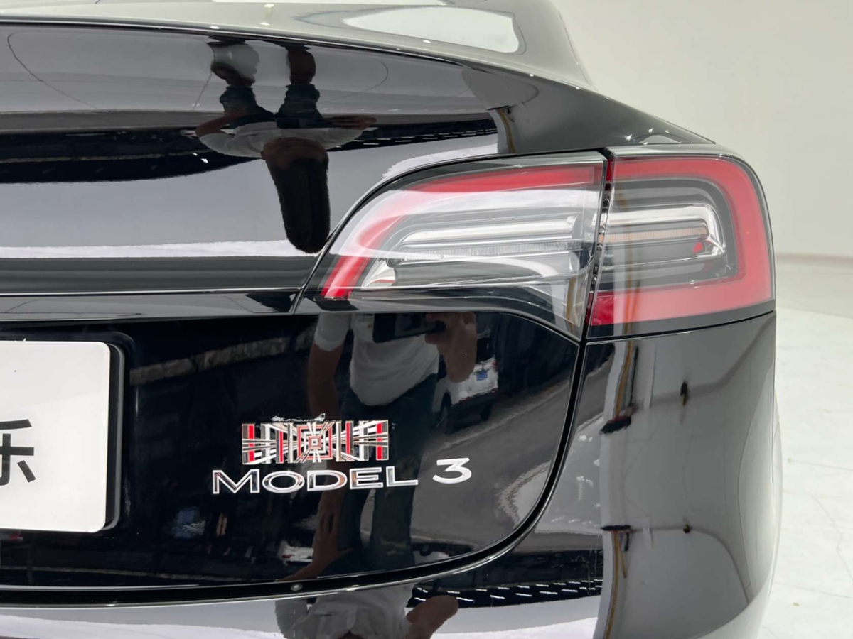 特斯拉 Model 3  2019款 标准续航后驱升级版图片