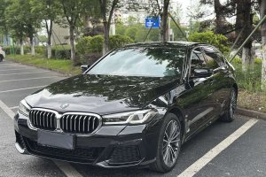 寶馬5系 寶馬 530Li 領(lǐng)先型 M運動套裝
