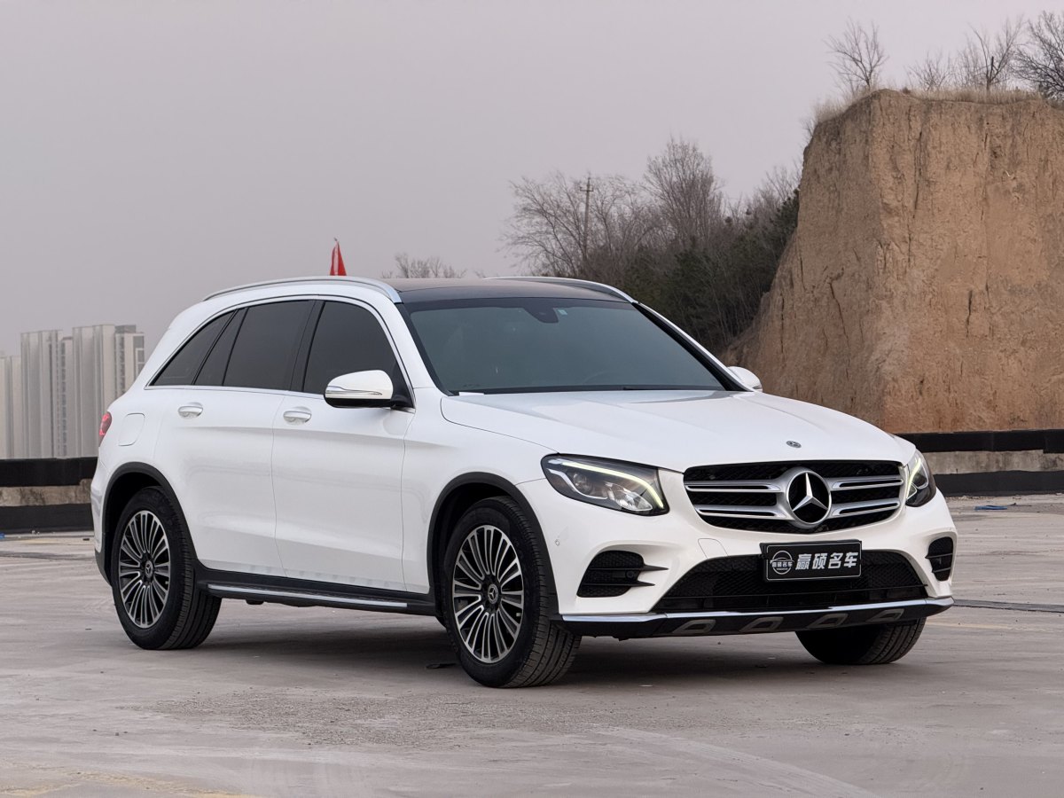 奔馳 奔馳GLC  2019款 GLC 260 4MATIC 動(dòng)感型圖片