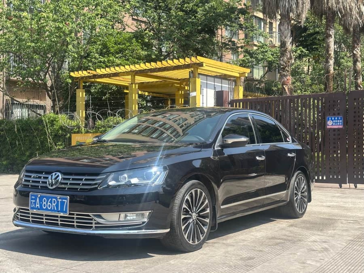 大眾 帕薩特  2014款 2.0TSI DSG御尊版圖片
