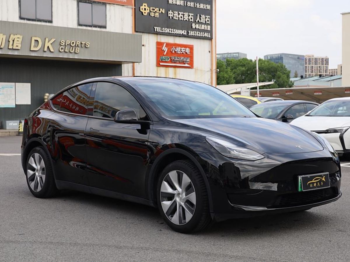 特斯拉 Model Y  2020款 改款 長(zhǎng)續(xù)航后輪驅(qū)動(dòng)版圖片