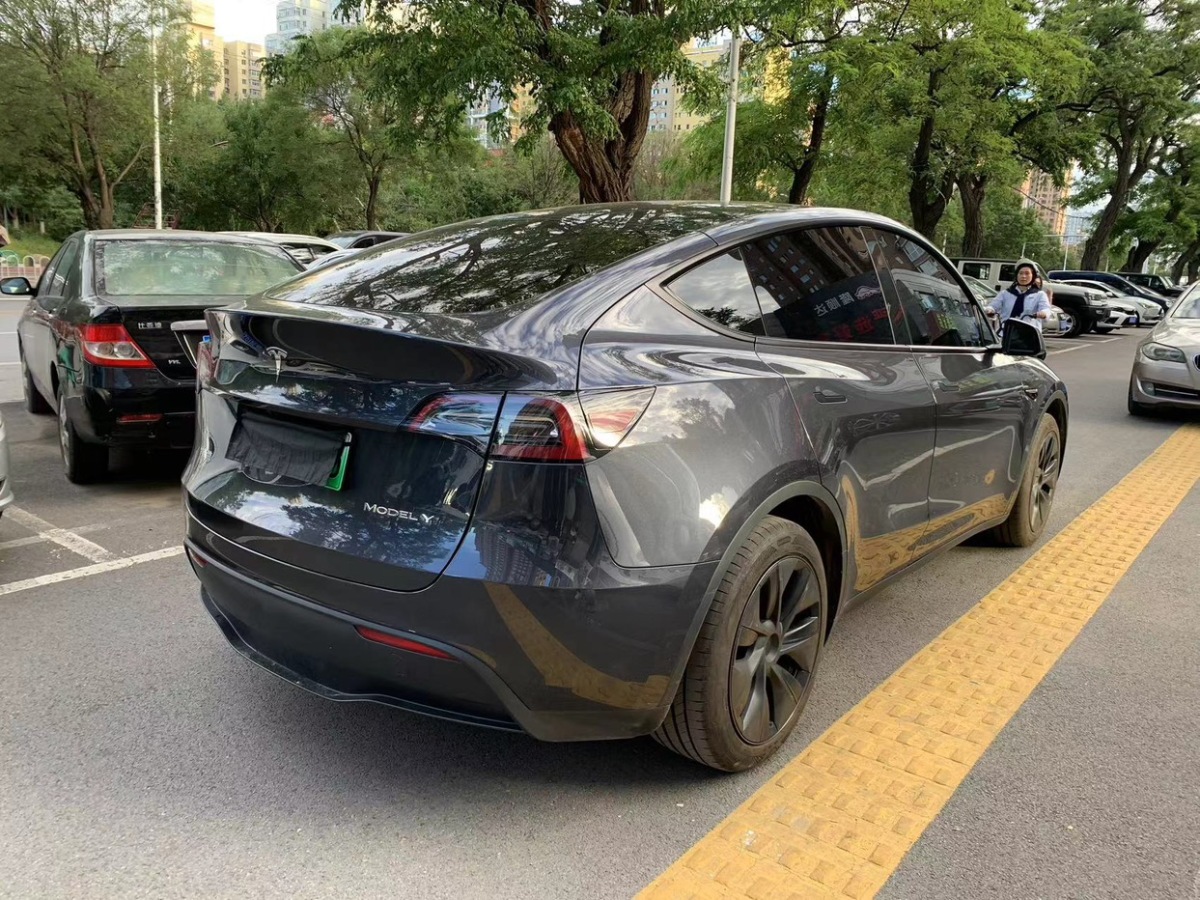 2024年06月特斯拉 Model Y  2022款 后輪驅(qū)動版