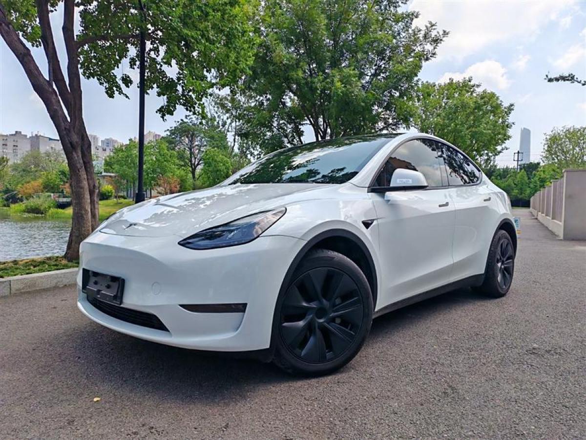 2024年3月特斯拉 Model 3  2020款 改款 長續(xù)航后輪驅動版