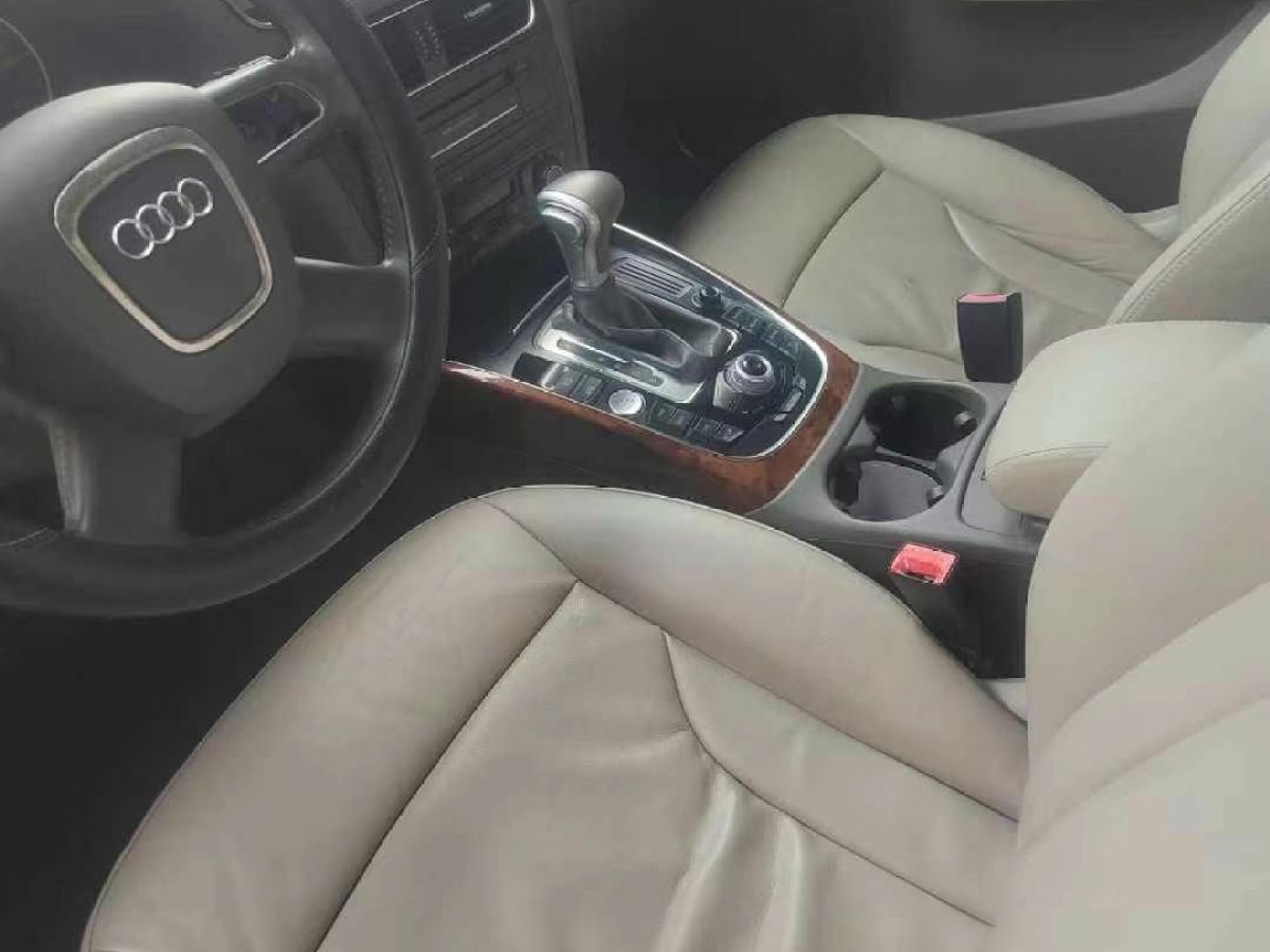 奧迪 奧迪Q5  2010款 Q5 2.0TSI 首發(fā)限量版運動版圖片