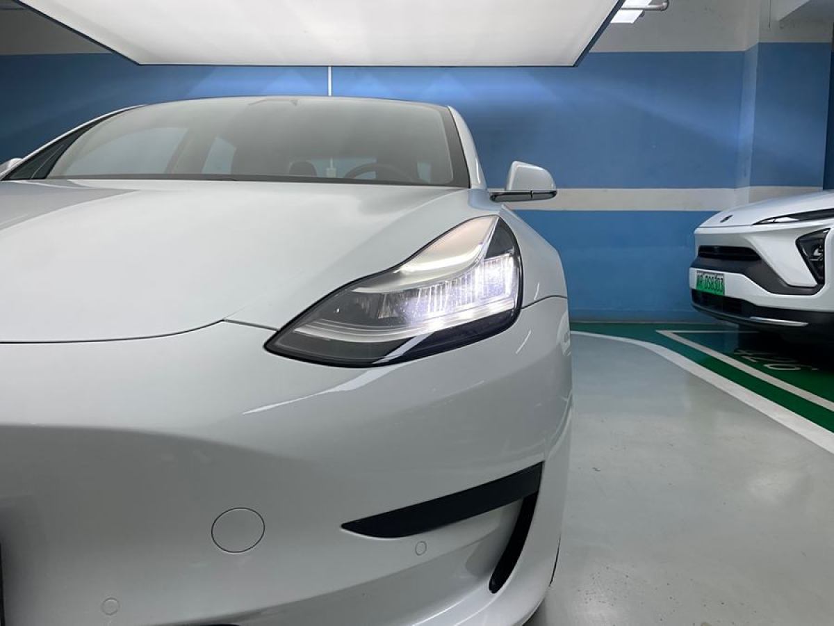 特斯拉 Model 3  2020款 改款 標(biāo)準(zhǔn)續(xù)航后驅(qū)升級版圖片