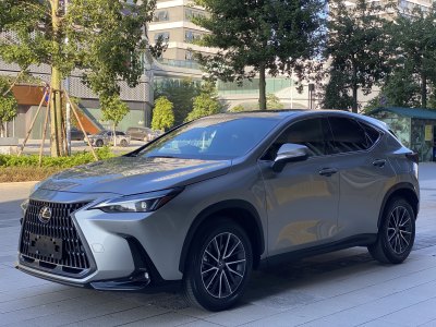 2023年5月 雷克薩斯 NX 260 前驅 創(chuàng)悅版圖片