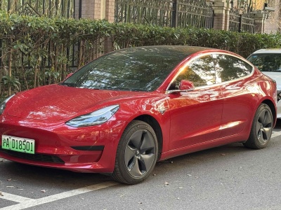 2020年4月 特斯拉 Model 3 標準續(xù)航后驅(qū)升級版圖片