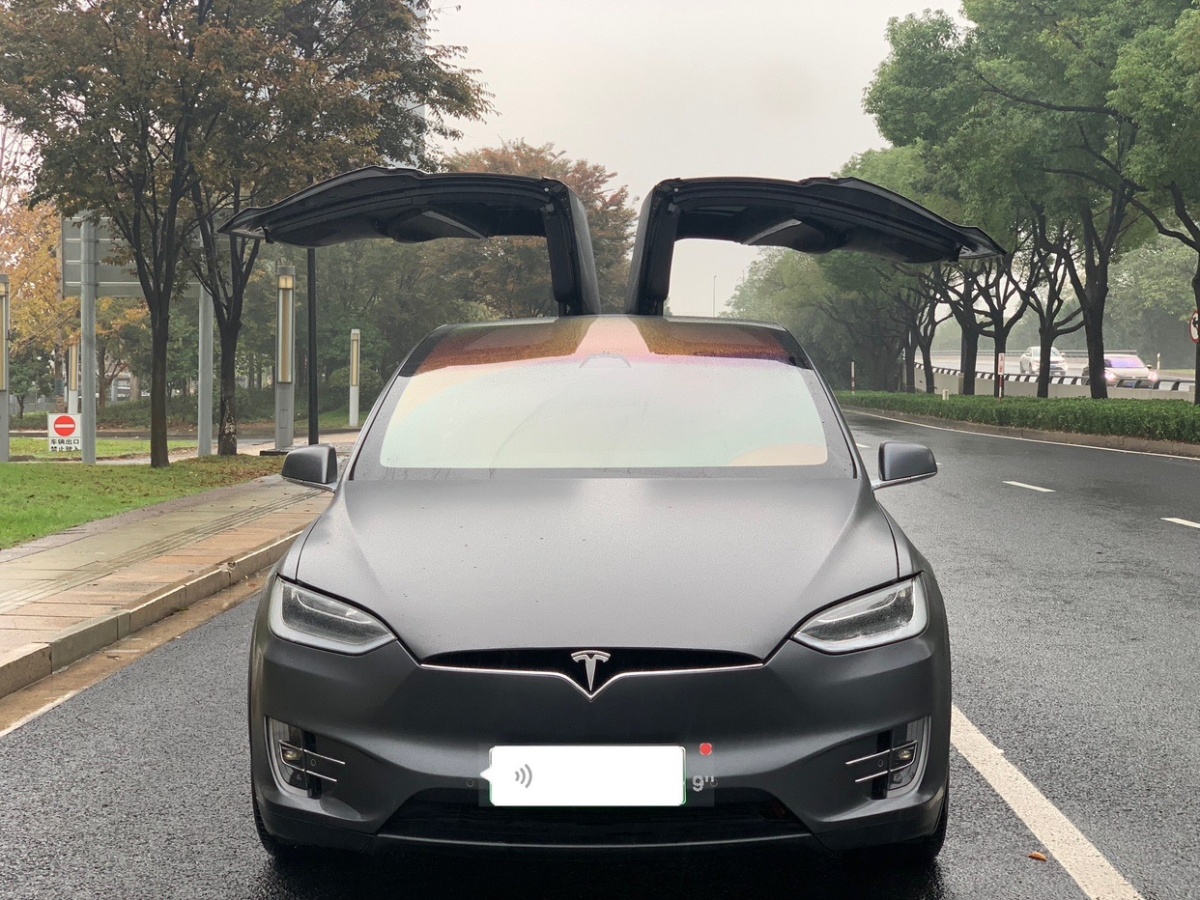 特斯拉 model x 2017款 model x 100d 長續航版圖片