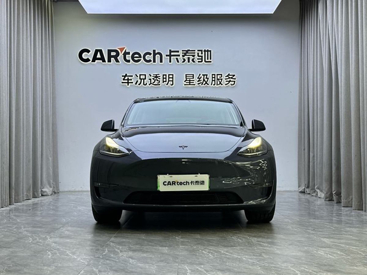 特斯拉 Model 3  2021款 改款 Performance高性能全輪驅(qū)動版圖片