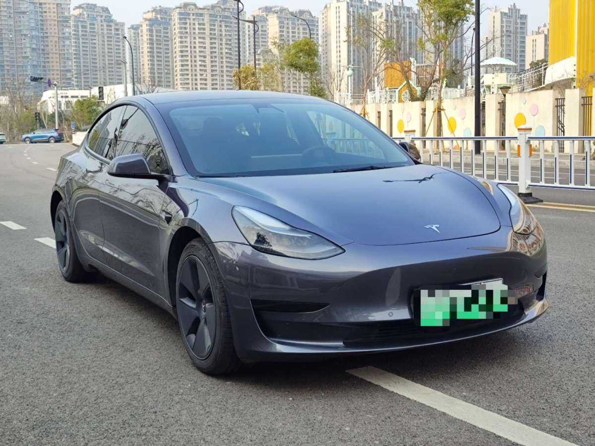 特斯拉 Model 3  2021款 標(biāo)準(zhǔn)續(xù)航后驅(qū)升級(jí)版 3D6圖片