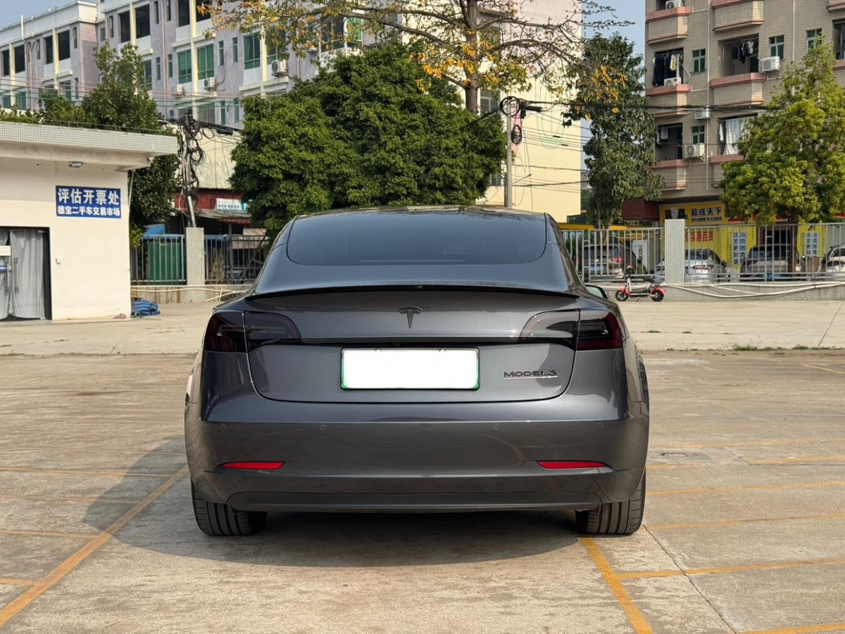 特斯拉 Model 3  2019款 Performance高性能全輪驅(qū)動版圖片