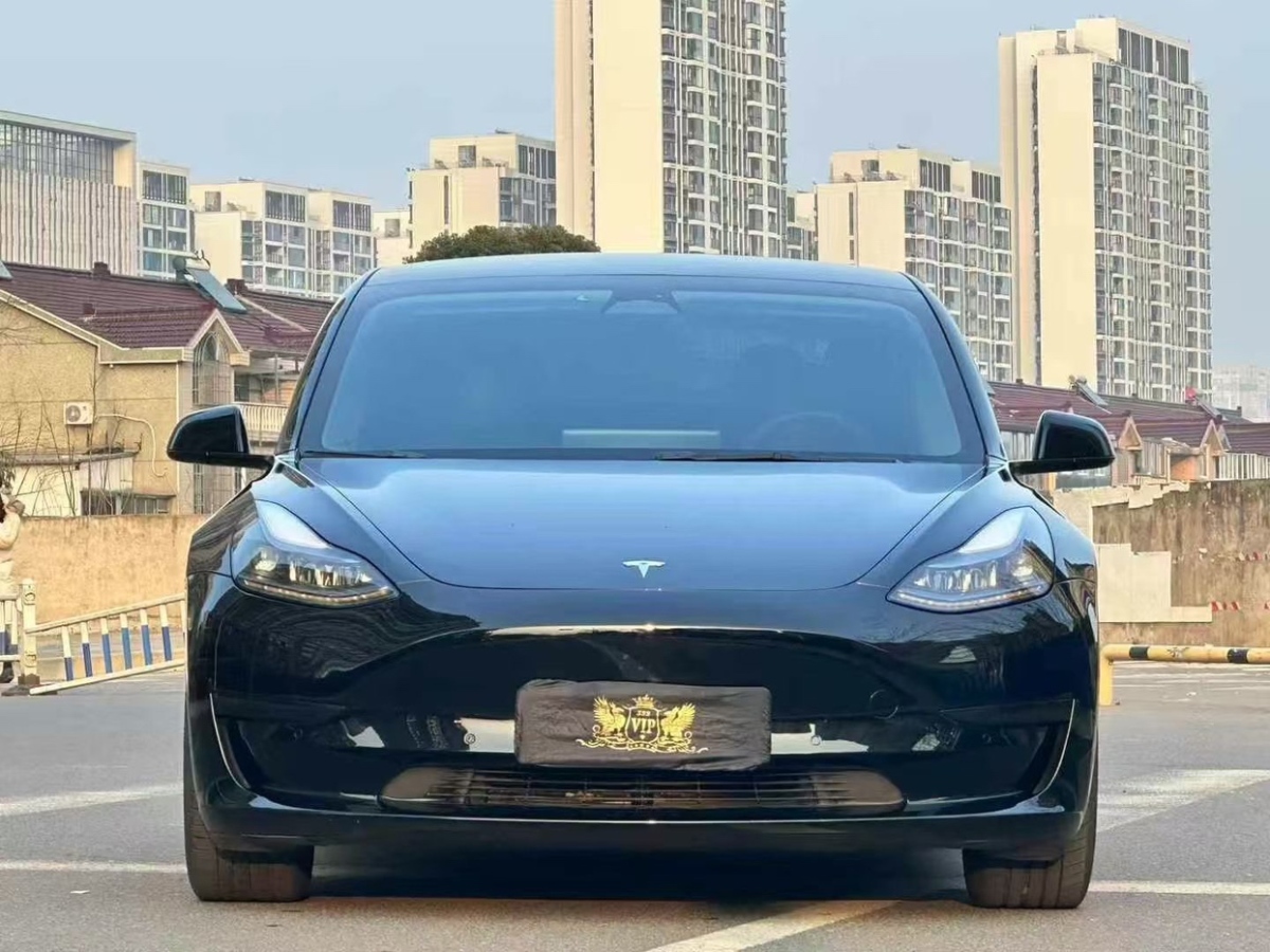 特斯拉 Model 3  2021款 改款 標(biāo)準(zhǔn)續(xù)航后驅(qū)升級版圖片