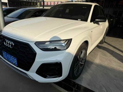 2024年1月 奧迪 奧迪Q5 e-tron 50 e-tron quattro 光耀型 機甲套裝圖片