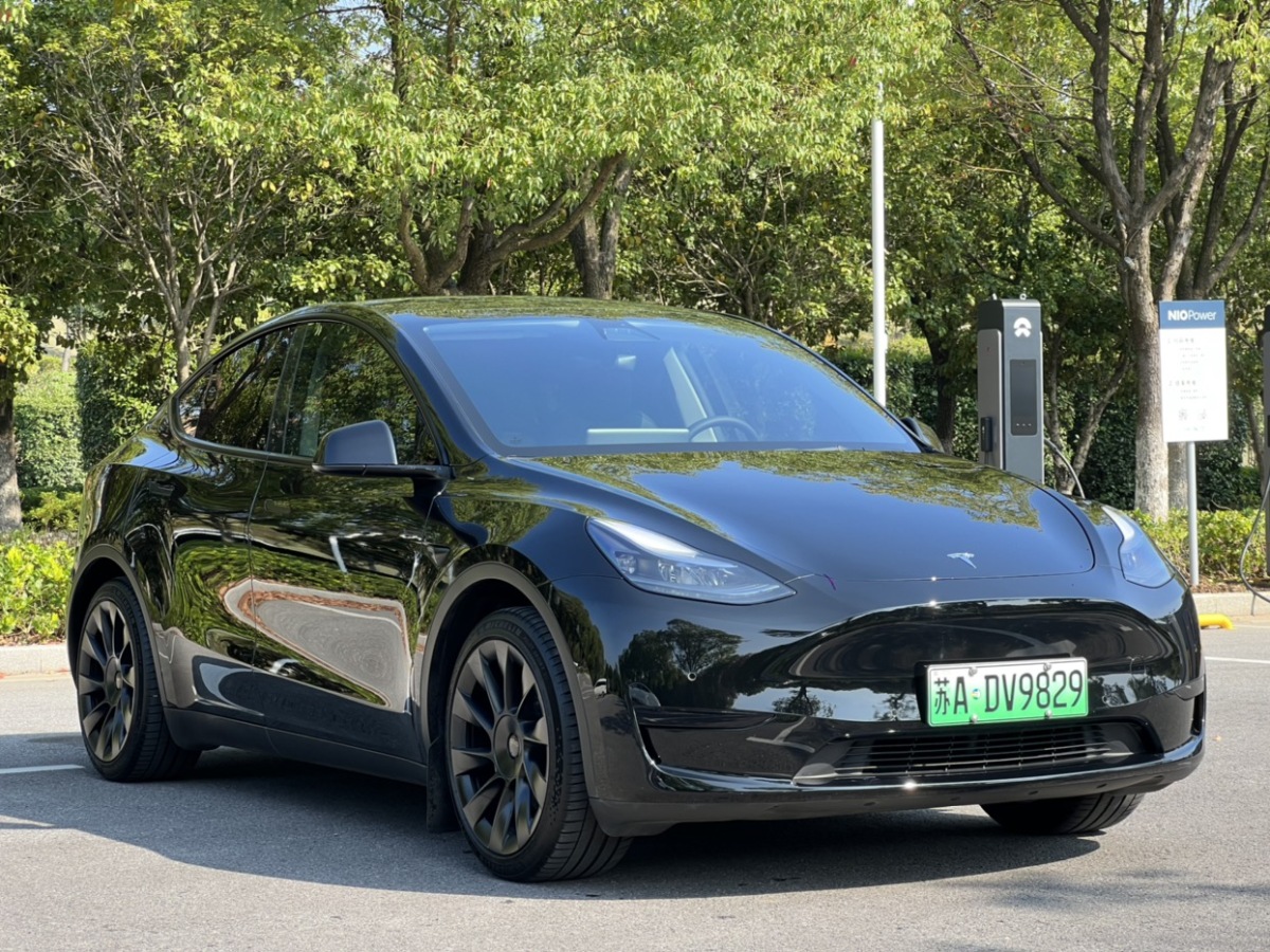 特斯拉 Model Y  2021款 改款 標準續(xù)航后驅(qū)升級版圖片