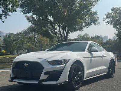 2015年8月 福特 Mustang(进口) 2.3T 性能版图片