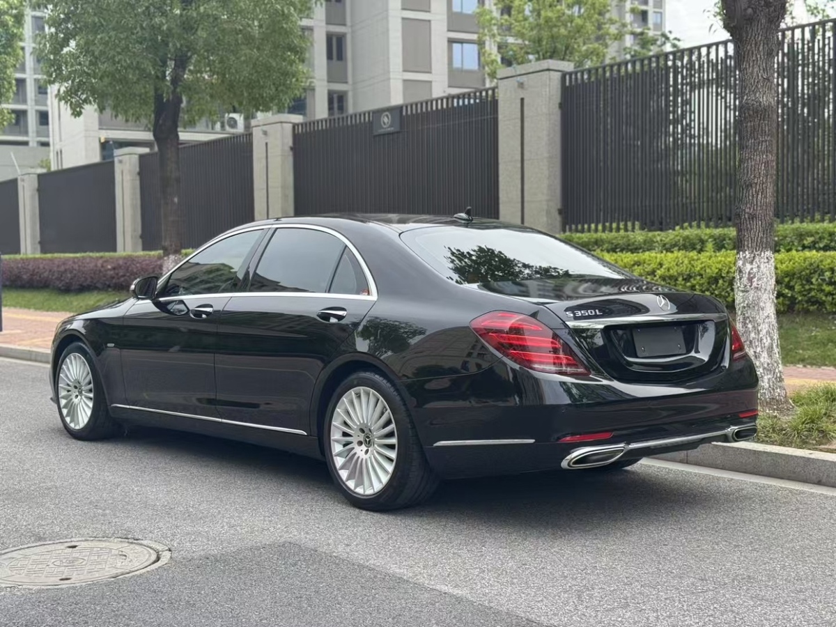 奔馳 奔馳S級  2020款 S 350 L 商務(wù)型 臻藏版圖片