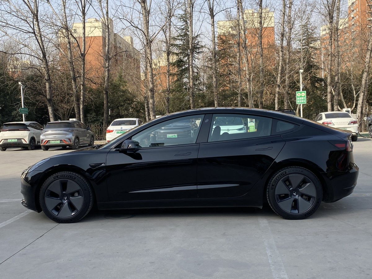 特斯拉 Model 3  2019款 標(biāo)準(zhǔn)續(xù)航后驅(qū)升級(jí)版圖片