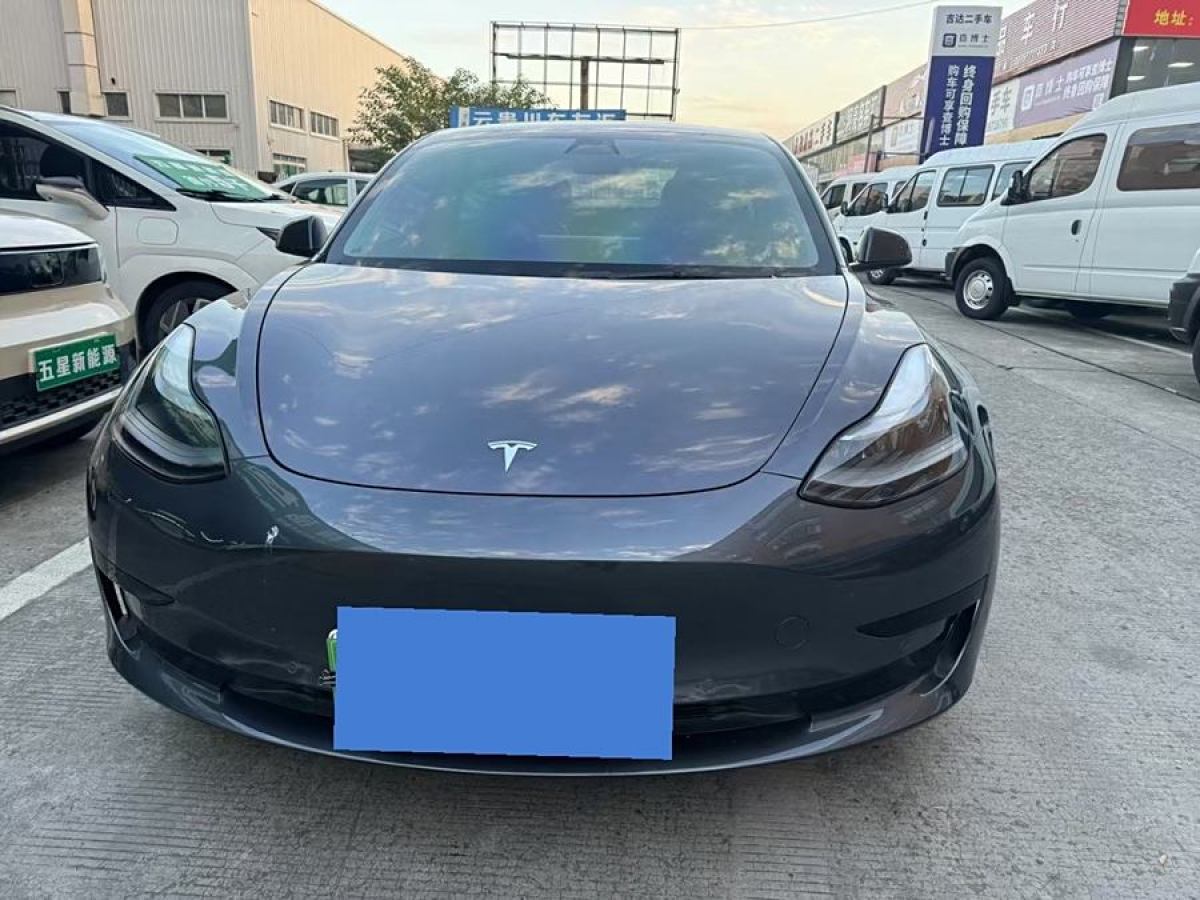 特斯拉 Model 3  2021款 改款 標(biāo)準(zhǔn)續(xù)航后驅(qū)升級(jí)版圖片