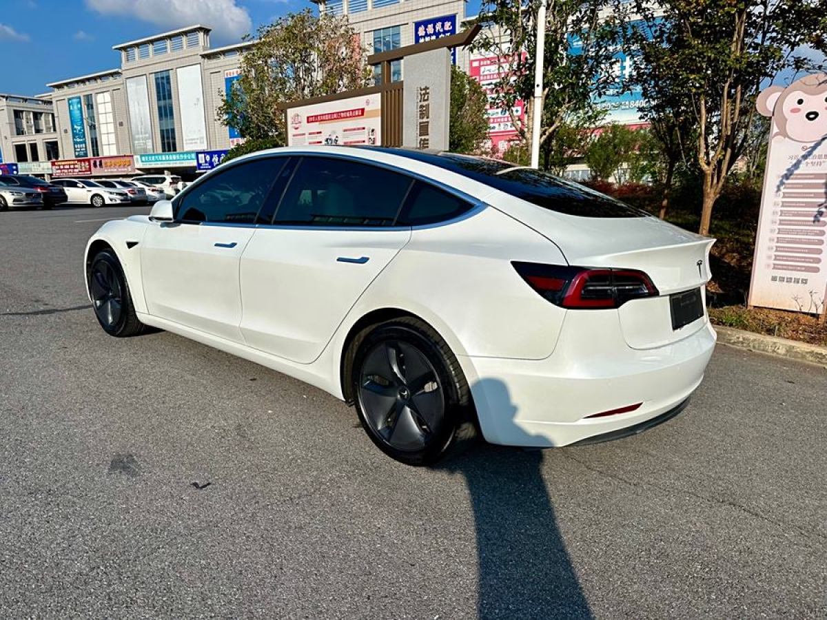 特斯拉 Model 3  2019款 長續(xù)航后驅版圖片