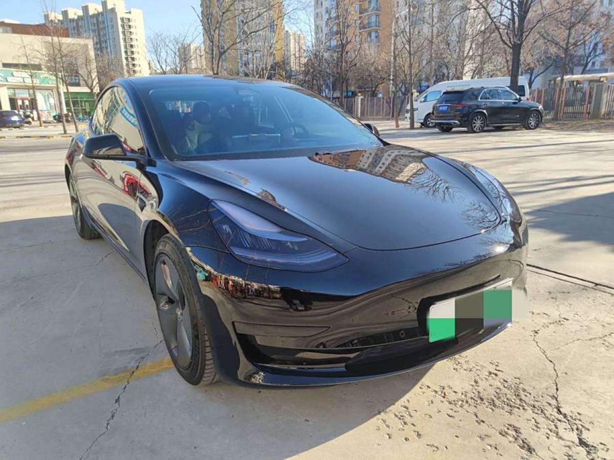 特斯拉 Model 3  2020款 改款 標(biāo)準(zhǔn)續(xù)航后驅(qū)升級版圖片