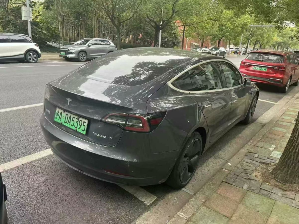 特斯拉 Model X  2020款 Performance 高性能版圖片