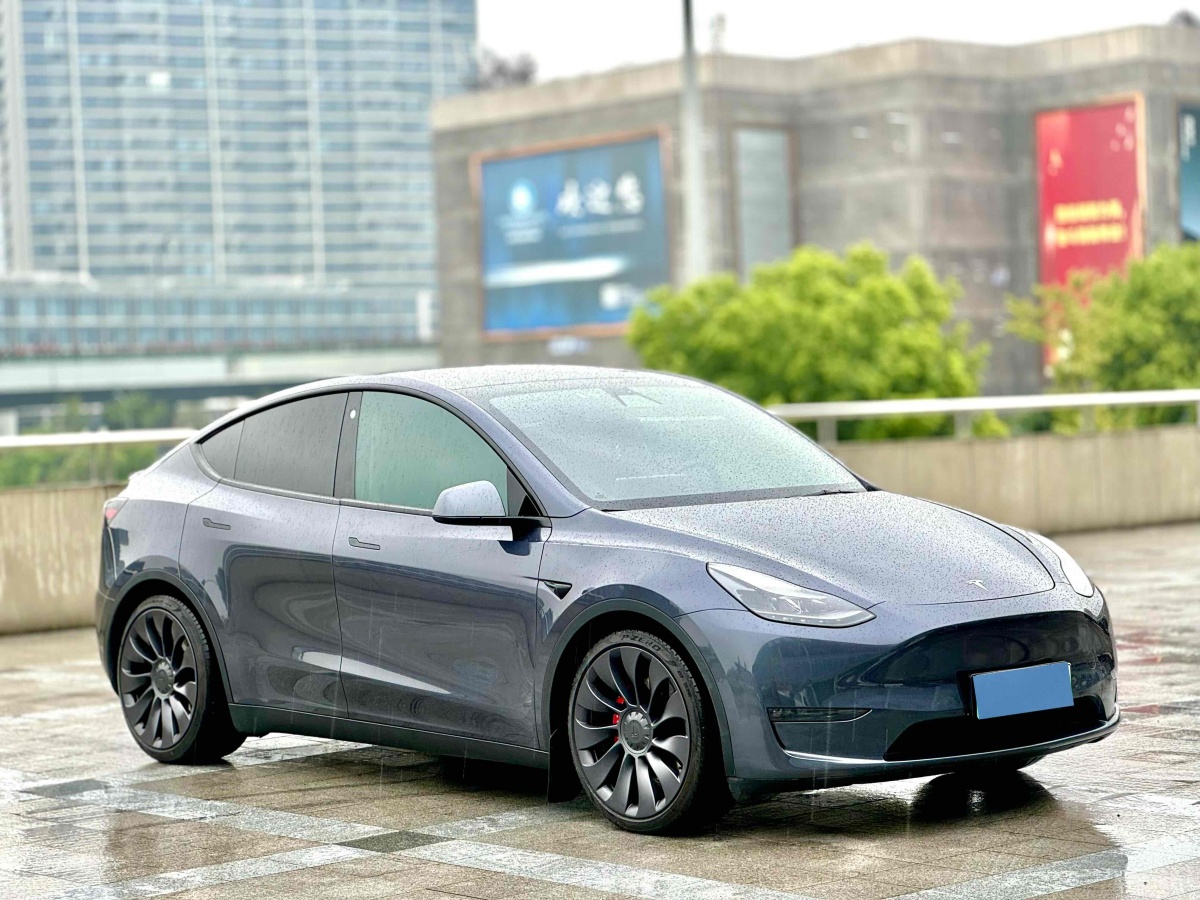 特斯拉 Model Y  2021款 改款 Performance高性能全輪驅動版圖片