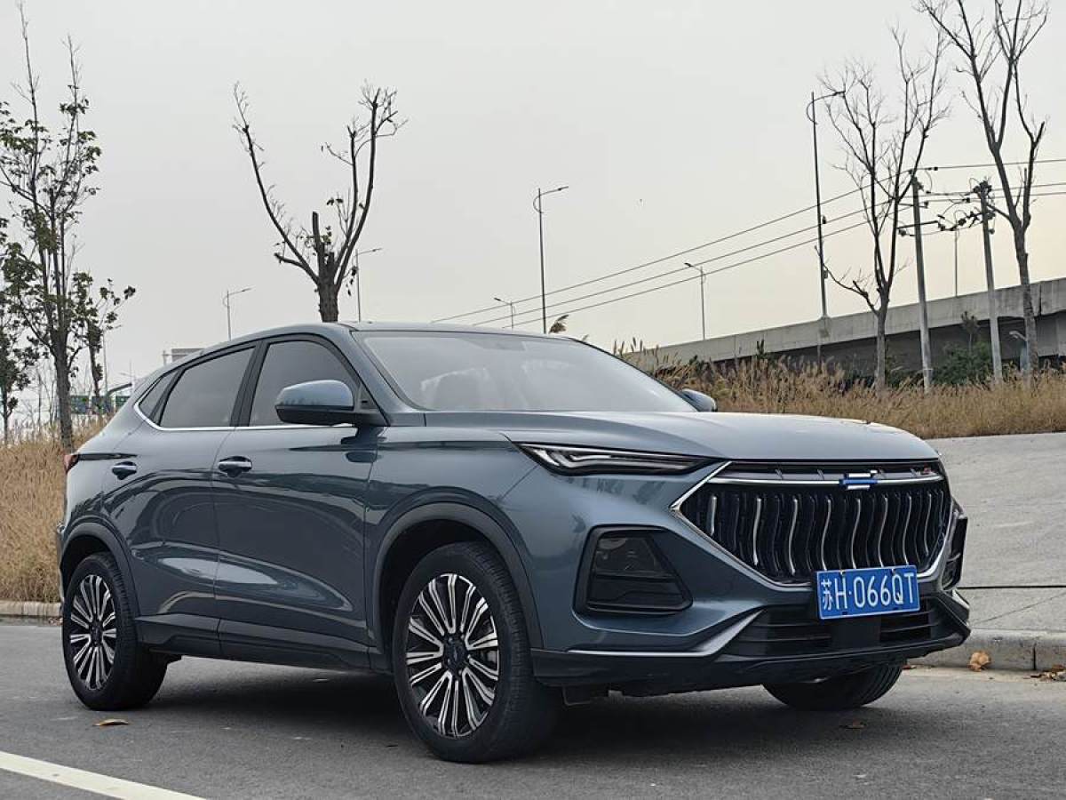 長(zhǎng)安歐尚 長(zhǎng)安歐尚X5  2021款 1.5T DCT尊貴型圖片