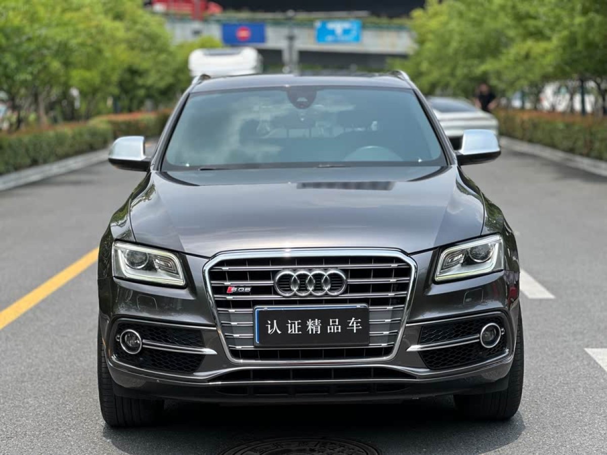 奧迪 奧迪SQ5  2014款 SQ5 3.0 TFSI quattro圖片