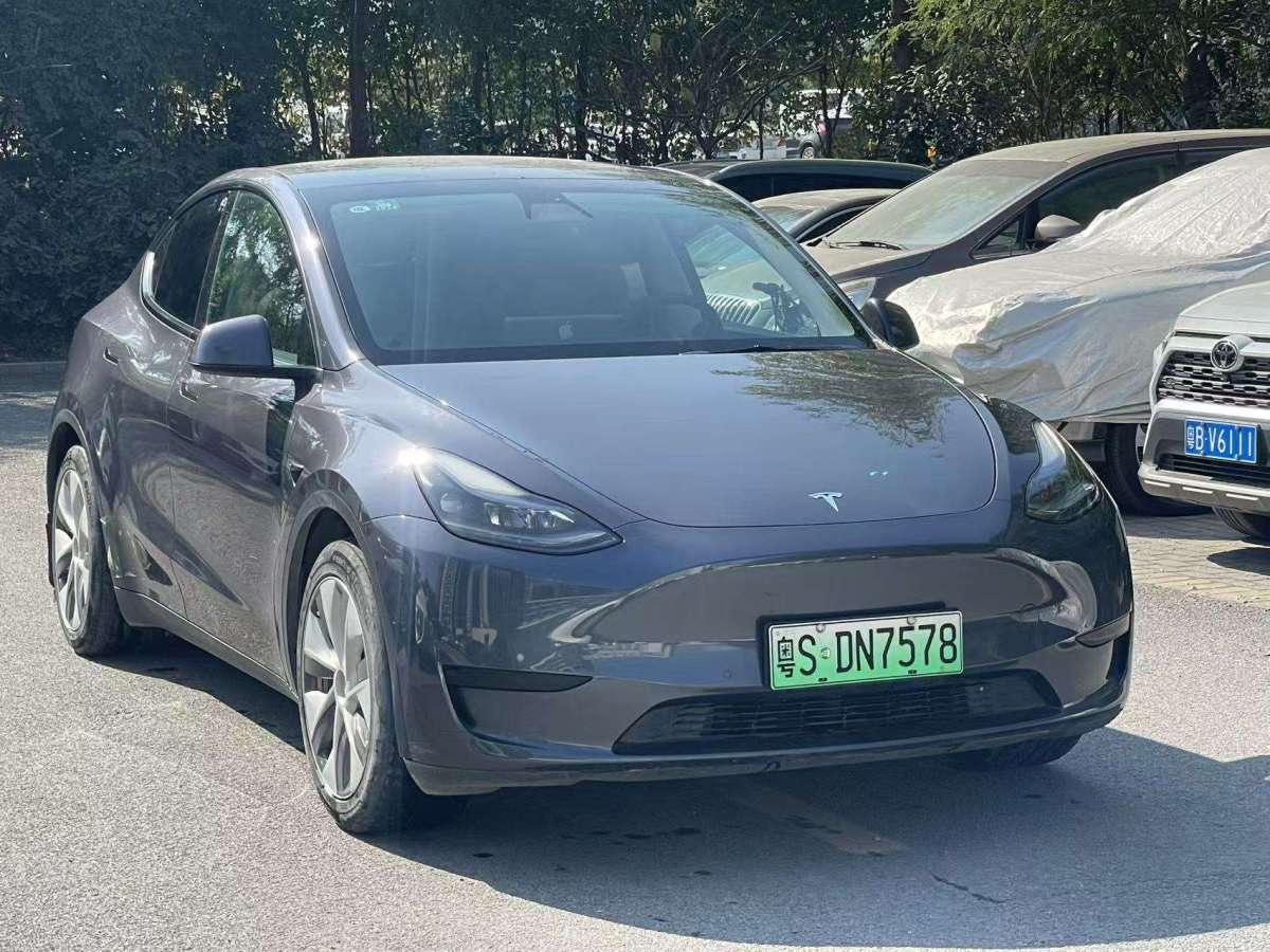 特斯拉 Model 3  2021款 標(biāo)準(zhǔn)續(xù)航后驅(qū)升級(jí)版 3D6圖片