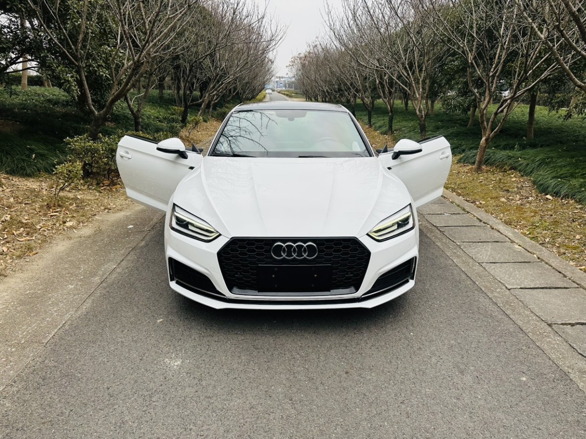 奧迪 奧迪A5  2017款 Coupe 40 TFSI 時尚型圖片