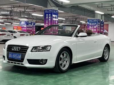 2011年3月 奧迪 奧迪A5(進口) 2.0TFSI Cabriolet圖片